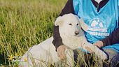 Bianca, una cucciola di 4 mesi