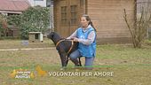 Volontari per amore