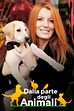 I gatti: i consigli del veterinario