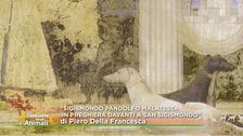 Uno dei capolavori di Piero della Francesca