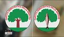 Il Pd cambia nome?