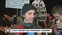 I segreti delle "sardine"