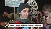 I segreti delle "sardine"