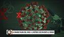 Da che cosa è nato il Coronavirus