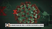 Da che cosa è nato il Coronavirus