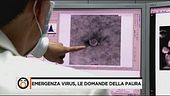 Emergenza virus, le domande della paura