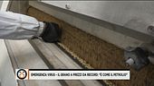 Emergenza virus - Allarme grano, a rischio pasta e pane