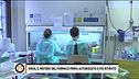 Emergenza virus, caccia alle cure per combatterlo