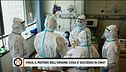 Virus, il mistero dell'origine