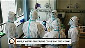 Virus, il mistero dell'origine
