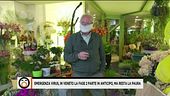 Emergenza virus, il Veneto accellera