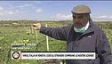 Virus, il dramma di Giuseppe