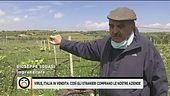 Virus, il dramma di Giuseppe