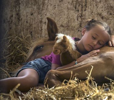 La casa tra le montagne 3 - Una casa per due