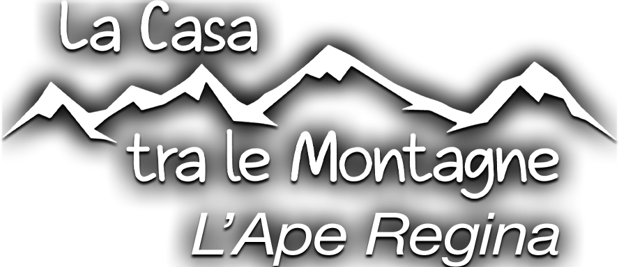 La casa tra le montagne 8 - L'ape regina - Film Mediaset Infinity
