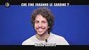 INTERVISTA: Le Sardine al citofono con Salvini: "Sei quello che doveva vincere in Emilia?"