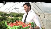 PECORARO: Campi senza braccianti: come arriveranno frutta e verdura nei supermercati?