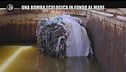 PELAZZA: Inquinamento da plastica, l'incubo ecoballe sul santuario dei cetacei dell'Elba