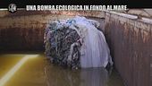PELAZZA: Inquinamento da plastica, l'incubo ecoballe sul santuario dei cetacei dell'Elba
