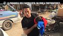 INNOCENZI: La parabola dell'animalista Marc Ching: da eroe a torturatore?
