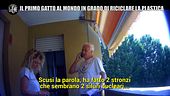 DI SARNO: Il primo gatto che ricicla la plastica: lo scherzo a Marco Predolin