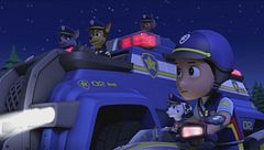 Ultimate Rescue: i cuccioli combattono il caldo