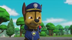 Cuccioli salvano la fiera dei cocomeri / Cuccioli salvano una mucca