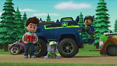 I cuccioli salvano il miele / I cuccioli salvano la borsa del sindaco