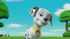 Ultimate rescue: i cuccioli salvano gli scalatori / I cuccioli salvano capitan Gordy