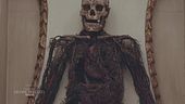 Le macchine anatomiche