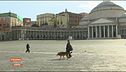 Chiusi per virus