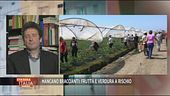Mancano braccianti: frutta e verdura a rischio