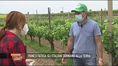 Pane e fatica