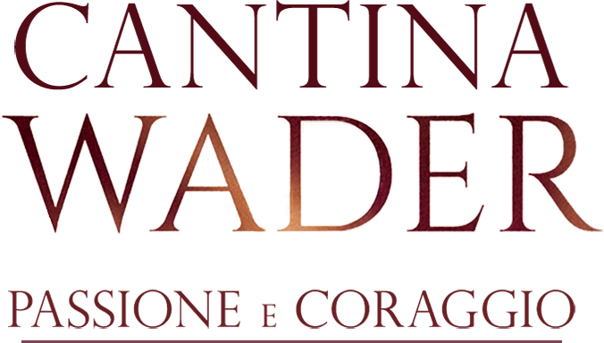 Cantina Wader - Passione e coraggio - Film Mediaset Infinity