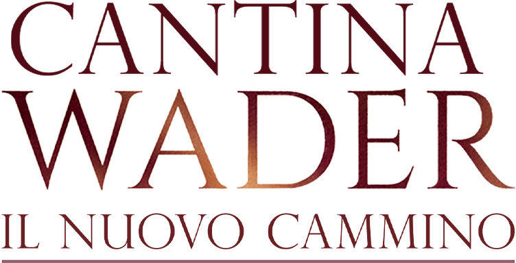 Cantina Wader - Il nuovo cammino - Film Mediaset Infinity