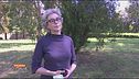 Intervista a Marcella Ribuffo, presidente LILT Roma