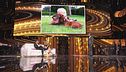 Maria De Filippi e l'amore per i cani