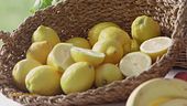 La rubrica del benessere di Gianluca Mech: il limone di Sorrento