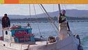 Le cozze di Olbia