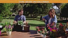 Giardinaggio: come creare una balconiera