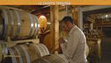 Nel magico mondo della grappa del Trentino