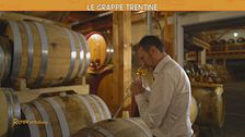 Nel magico mondo della grappa del Trentino