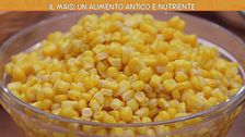 Le proprietà del mais