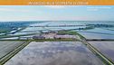 Le bellezze di Cervia