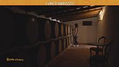 I vini d'Abruzzo