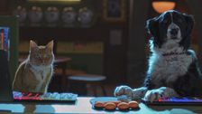 Trailer - Cats & dogs 3: paws unite