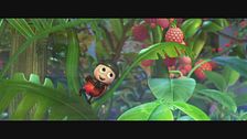 Trailer - Avventure di una coccinella
