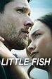Trailer - Little fish