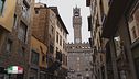 Firenze, la culla del rinascimento