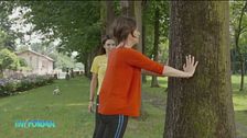 Sport in campagna